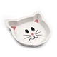 cat food in bowl